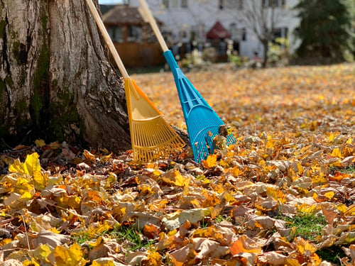 Full Yard Cleanups