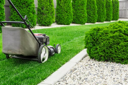 Lawn Maintenance