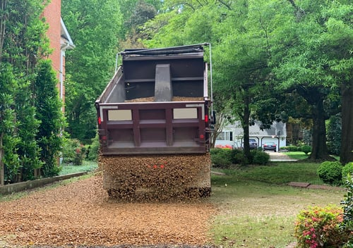 Mulch Installation